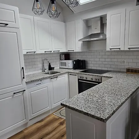 公寓 Rossignol 采尔马特